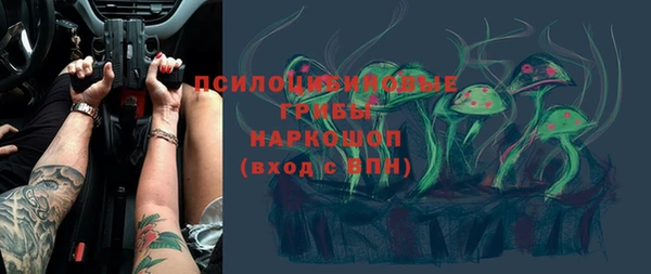 эйфоретик Алексин