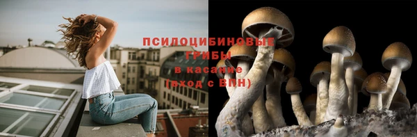 эйфоретик Алексин