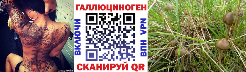 ссылка на мегу рабочий сайт Гурьевск Галлюциногенные грибы мухоморы